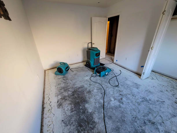 Best Mold removal after water damage  in Tucker, GA