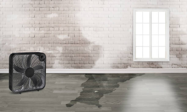 Best Water damage restoration near me  in Tucker, GA